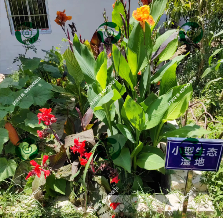 <b>��̬ʪ��</b>