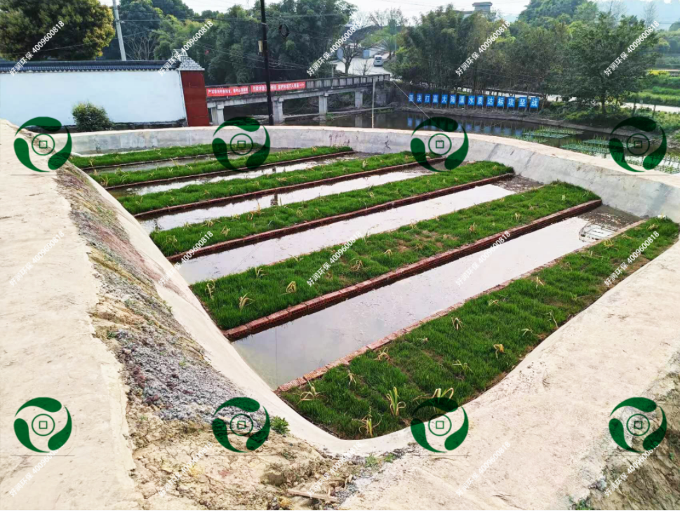 <b>��̬ʪ��</b>